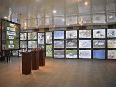 
      
      Uttarakhand opens its first-ever bird gallery in Dehradun
      
      