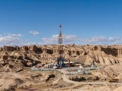 
      
      India-Central Asia rare earth collab reshapes cooperation
      
      