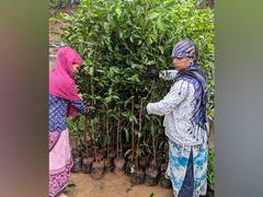 
      
      Adani Group to give 11 lakh saplings for Indore, Madhya Pradesh
      
      
