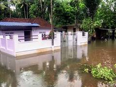 
      
      Heavy rains prompt closure of educational institutions in 8 di
      
      