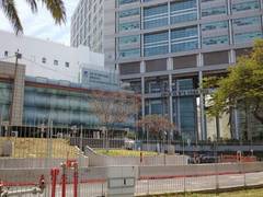
      
      Israeli researchers achieve thought-driven speech
      
      