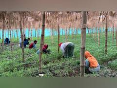 
      
      Fields of Promise: The Art of Living's Breakthrough Initiatives
      
      