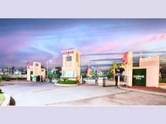 
      
      Ozone Builders: Setting New Standards in Real Estate
      
      