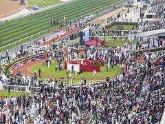 
      
      Dubai World Cup 2025 to take place in April 2025
      
      