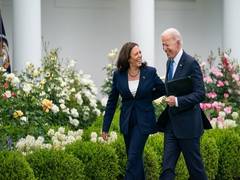 
      
      Biden endorses Harris as Democrat presidential nominee
      
      