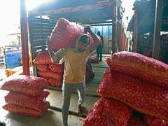 
      
      Economic survey calls for faster implementation of labour codes
      
      