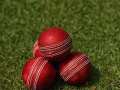 
      
      ICC confirms expansion of teams in Women's T20 WC
      
      