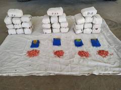 
      
      NCB Guwahati seizes 6.790 kg of Methamphetamine, apprehends two 
      
      
