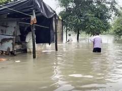 
      
      Heavy rainfall triggers flood-like situation in Gujarat's Navsari
      
      
