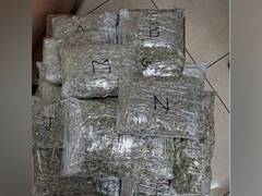 
      
      Mumbai Customs seize gold worth Rs 13.11 cr at airport, seven hel
      
      
