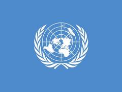 
      
      OCHA says 9 per cent of Gaza's population displaced last week
      
      