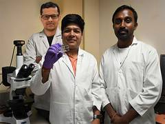 
      
      IIT Guwahati researchers use microfluidics to boost crop yield
      
      