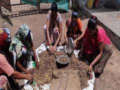 
      
      Over 2.79 lakh self-help groups in Gujarat support 27 lakh family
      
      