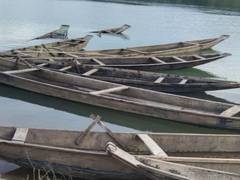 
      
      BSF Meghalaya seizes 19 Bangladeshi wooden boats
      
      