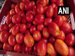
      
      After Delhi NCR, tomatoes being sold at Rs 60/kg in Mumbai
      
      