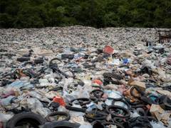 
      
      Plastic pollution, seawater flooding effect on coastal plants
      
      