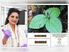 
      
      New Genetic Barcode Developed by Chandigarh University Researcher
      
      