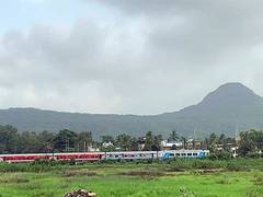 
      
      Centre proposes to designate Western Ghats as eco-sensitive zone
      
      