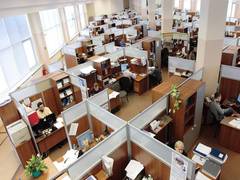 
      
      India's working-age population to rise until 2040
      
      