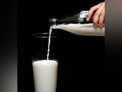 
      
      Dairies to milk 13-14% revenue growth this year on strong demand
      
      