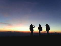 
      
      India’s tour and travel sector expected to grow 15-17 pc
      
      