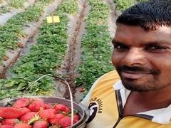 
      
      Dang declared as Gujarat's fully natural farming district
      
      