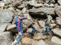 
      
      Dog squads start search operations in Rudraprayag
      
      