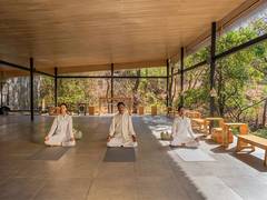 
      
      Embark Upon Transformational Journey to Wellbeing with Dharana
      
      