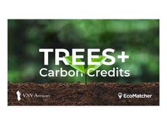 
      
      EcoMatcher, VNV Advisory Announce Partnership to Launch TREES+
      
      