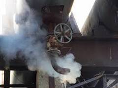 
      
      17 hospitalized after gas leak at food processing factory in Pune
      
      