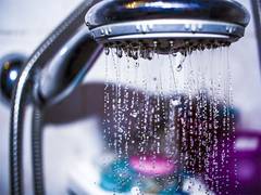 
      
      Modern Shower Design Trends to Transform Your Bathroom
      
      