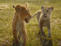 
      
      'Mufasa: The Lion King' trailer released
      
      