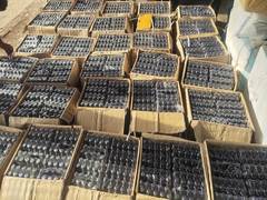 
      
      NCB Mumbai busts interstate drug syndicate, seizes 75 kg of Ganja
      
      