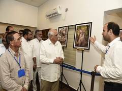 
      
      World Lion Day: Gujarat CM reiterates PM Modi's commitment to pro
      
      