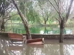 
      
      7-year-old boy drowns in waterlogged park in Delhi's Rohini
      
      