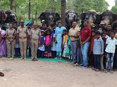 
      
      World Elephant Day celebrated at Trichy MR Palayam 
      
      