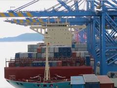 
      
      Bunkering at India ports shot up 65% in 2024
      
      