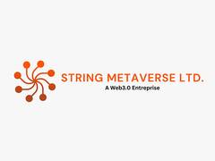 
      
      String Metaverse (Bio Green Papers, BSE: 534535) Reports Q1 FY25
      
      