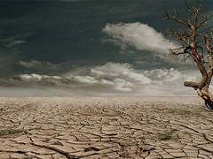 
      
      Incorporate climate change to improve mental health services: WHO
      
      