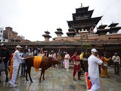 
      
      Nepal marks festival of Gaijatra, commemorating beloved ones
      
      
