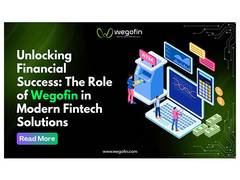 
      
      The Role of Wegofin in Modern Fintech Solutions
      
      