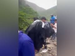 
      
      Nepal Army chopper to airlift injured bus passengers to Kathmandu
      
      