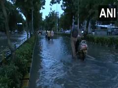 
      
      Parts of Ahmedabad face waterlogging following heavy rains
      
      