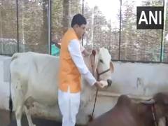 
      
      MP: CM Mohan Yadav extends greeting on Shri Krishna Janmashtami 
      
      