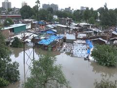 
      
      Gujarat: Vadodara witnesses flood-like situation
      
      