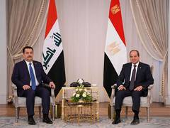 
      
      Egypt, Iraq stress need to end humanitarian plight in Gaza
      
      