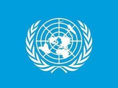 
      
      United Nations vehicle in Gaza hit by Israeli gunfire
      
      