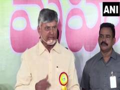 
      
      Aiming for 50 per cent greenery across Andhra Pradesh: CM Naidu 
      
      