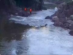 
      
      J-K: SDRF starts search operation after boy drowns in river in Ra
      
      