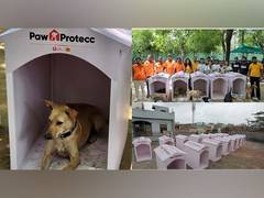 
      
      Mars Petcare and Swiggy Instamart Launch Paw Protecc Initiative
      
      